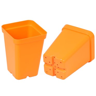 Sunpack Square Pot 2.5"