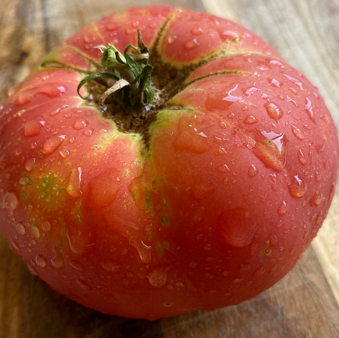 Tomato 'Brandywine' (Solanum esculentum) - Seed SS