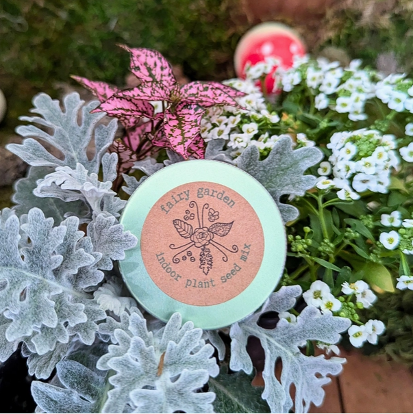 fairy garden flower seeds "Fairy Garden" Indoor Plant Seed Mix PX