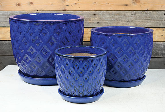 Paragon Pot with Saucer