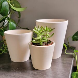 Vietnamese Terracotta Cone Planter WP