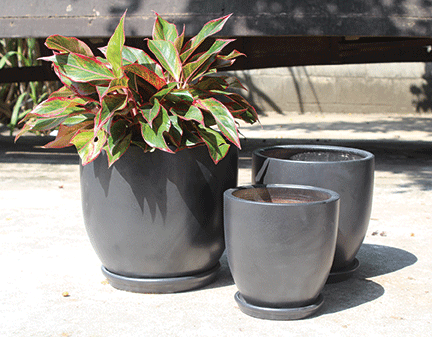 Egg Pot with Saucer WP