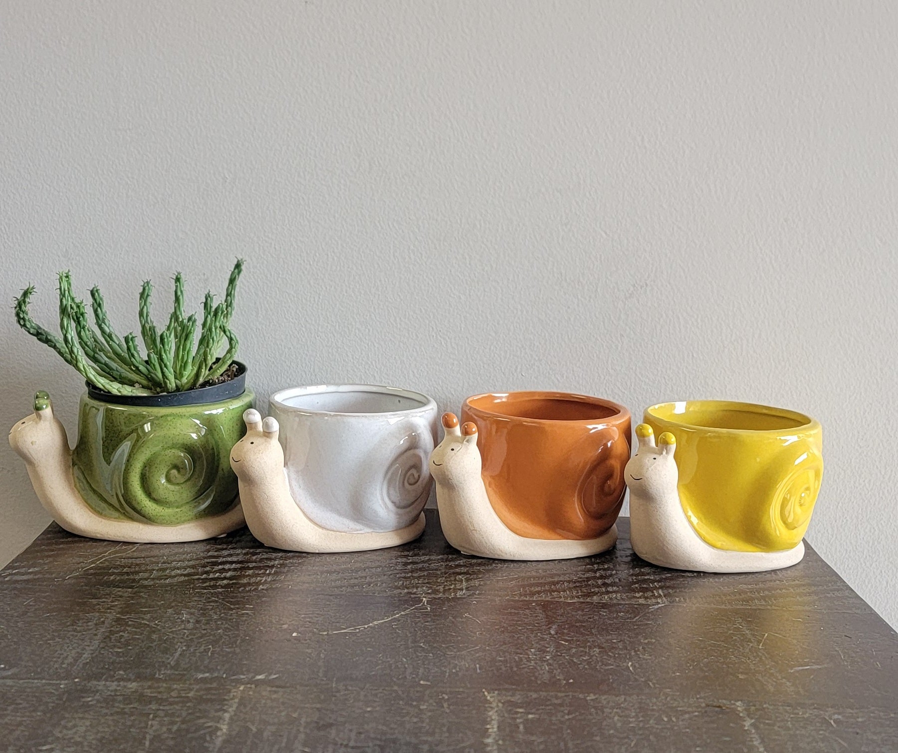Snail Planter Assorted WP