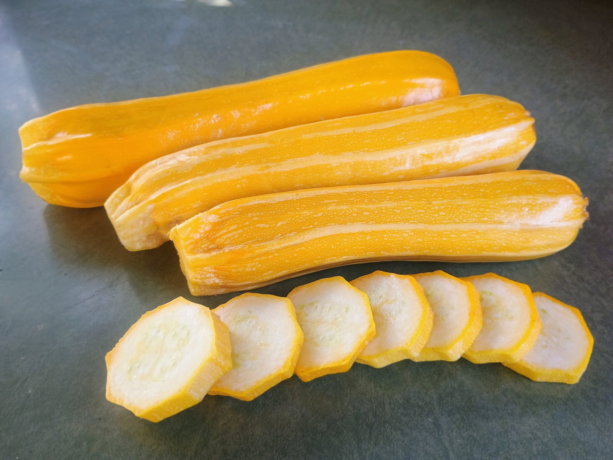 Zucchini 'Goldini II' (Cucurbita pepo) - Seed SRC