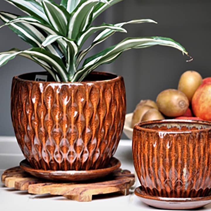 Verandah Oak Wood Planter w/ Attached Saucer BFG