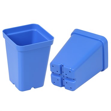 Sunpack Square Pot 2.5"