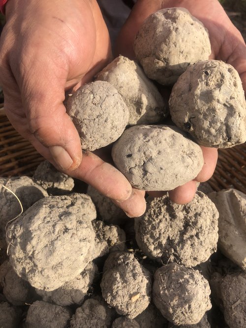 Bokashi Mud Balls