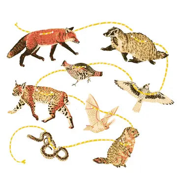 Paper Garlands
