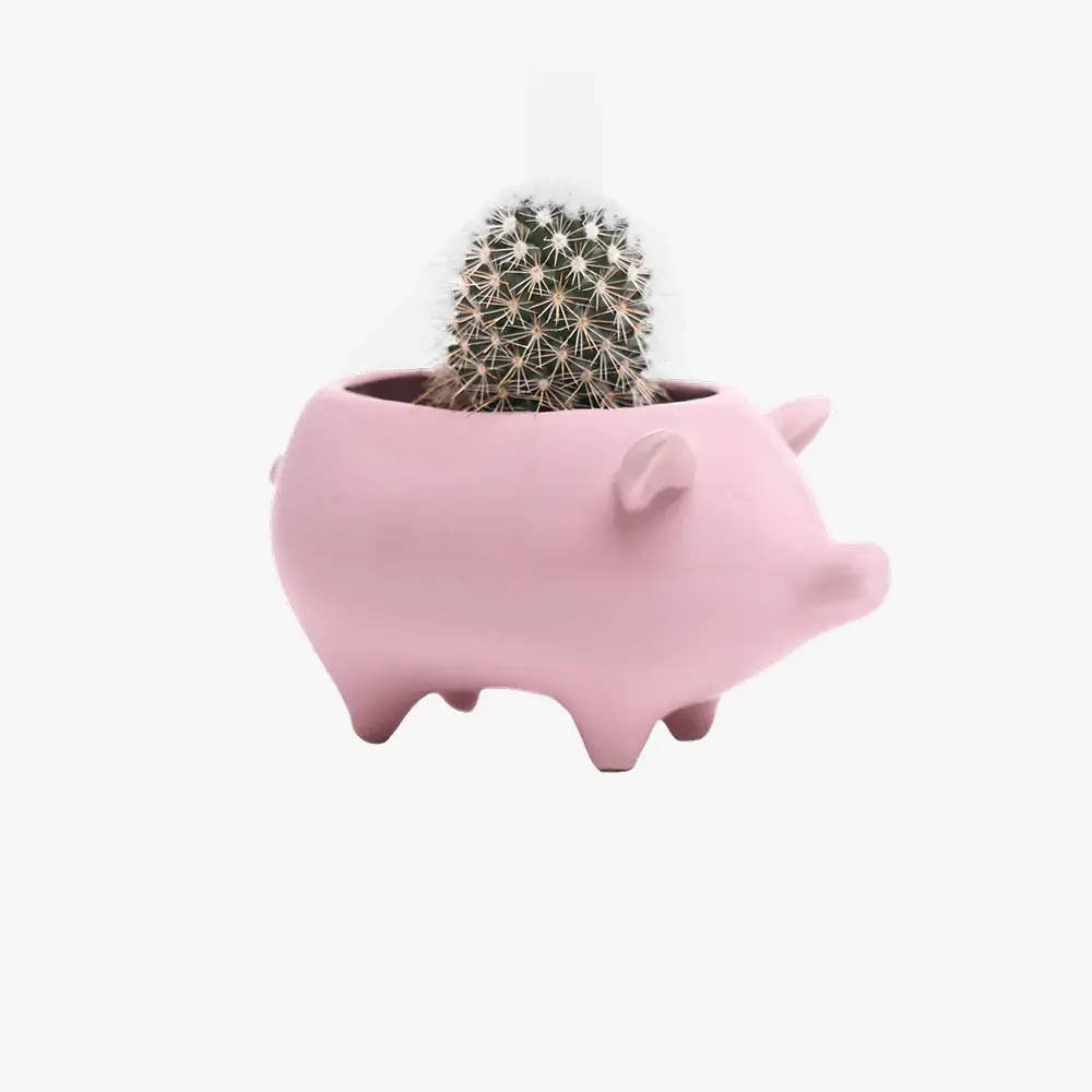 Pig Ceramic Plant Pot 3"