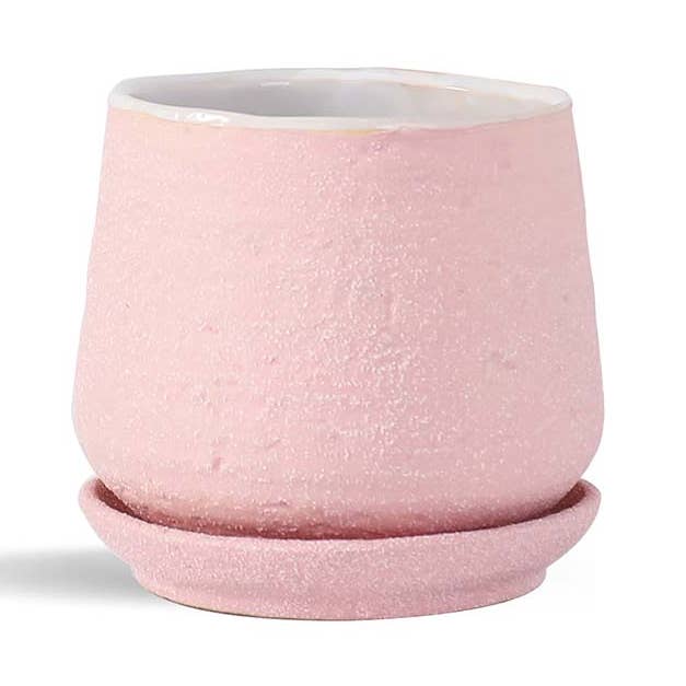 Hand Roll Pot w/ Saucer BFG