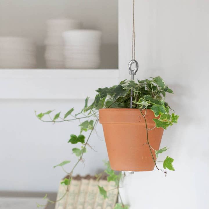 Bolty – Hanging Planter System For Plant Pots