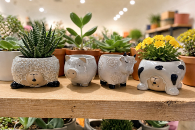 Farm Friends Planter