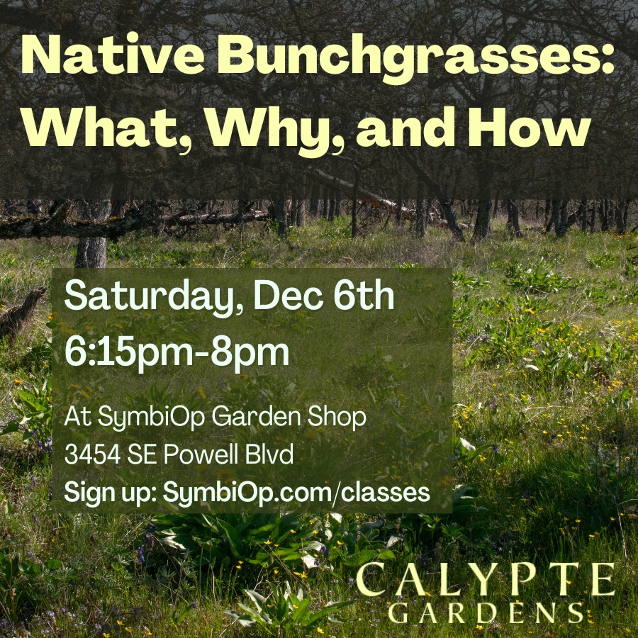 grass workshop flyer.png