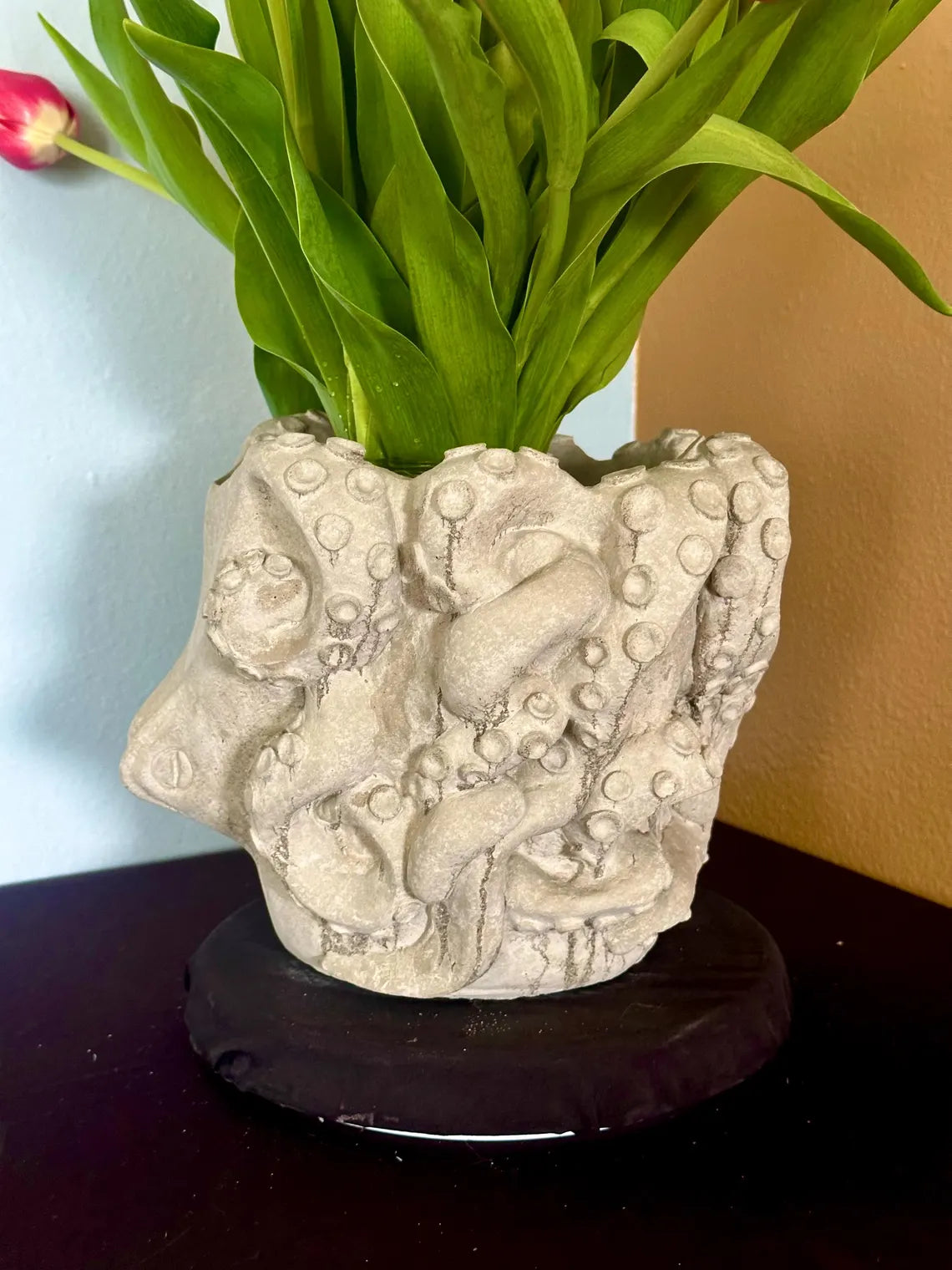 Large Octopus Planter CC