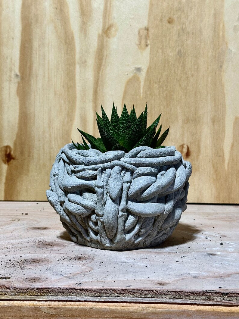 planters for snake plant Snake Pot CC