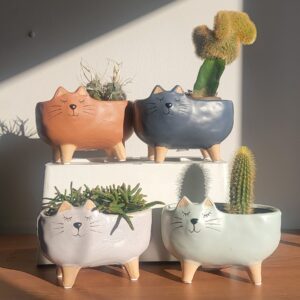 Kitty Pot 4" Assorted WP