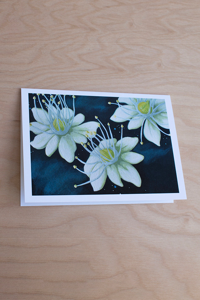 Vivid Element Greeting Cards