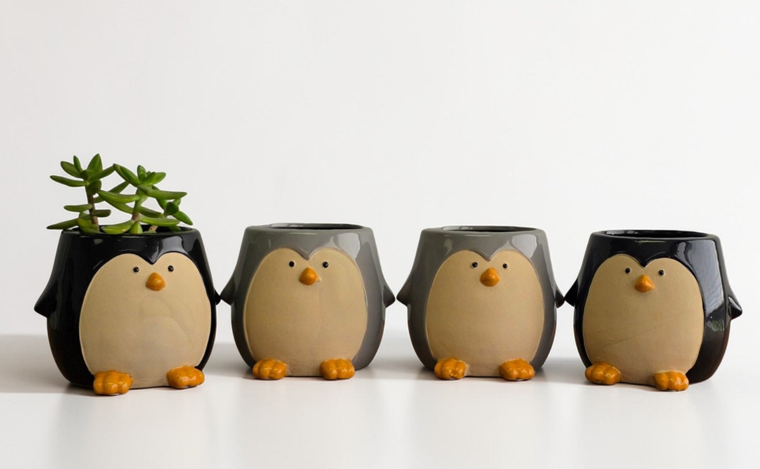 Penguin Planter 4" Assorted