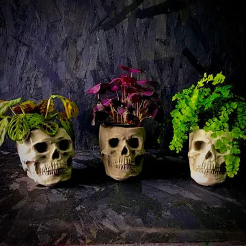 Skull pot CC - SymbiOp Garden Shop