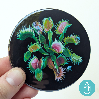 Marigold Art Studios Magnets CC