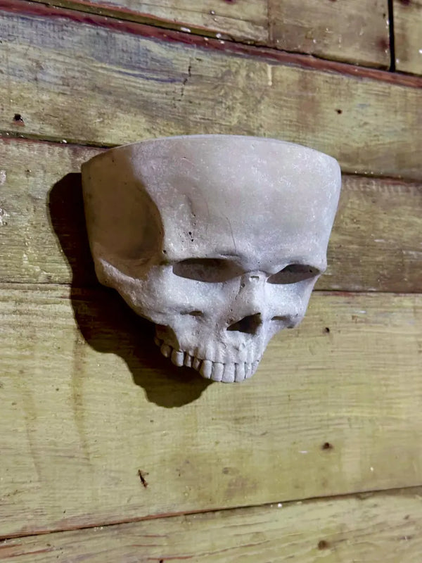 ACQ鉢　scull head Skull pot CC - SymbiOp Garden Shop