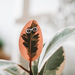 Magnetic Plant Charms