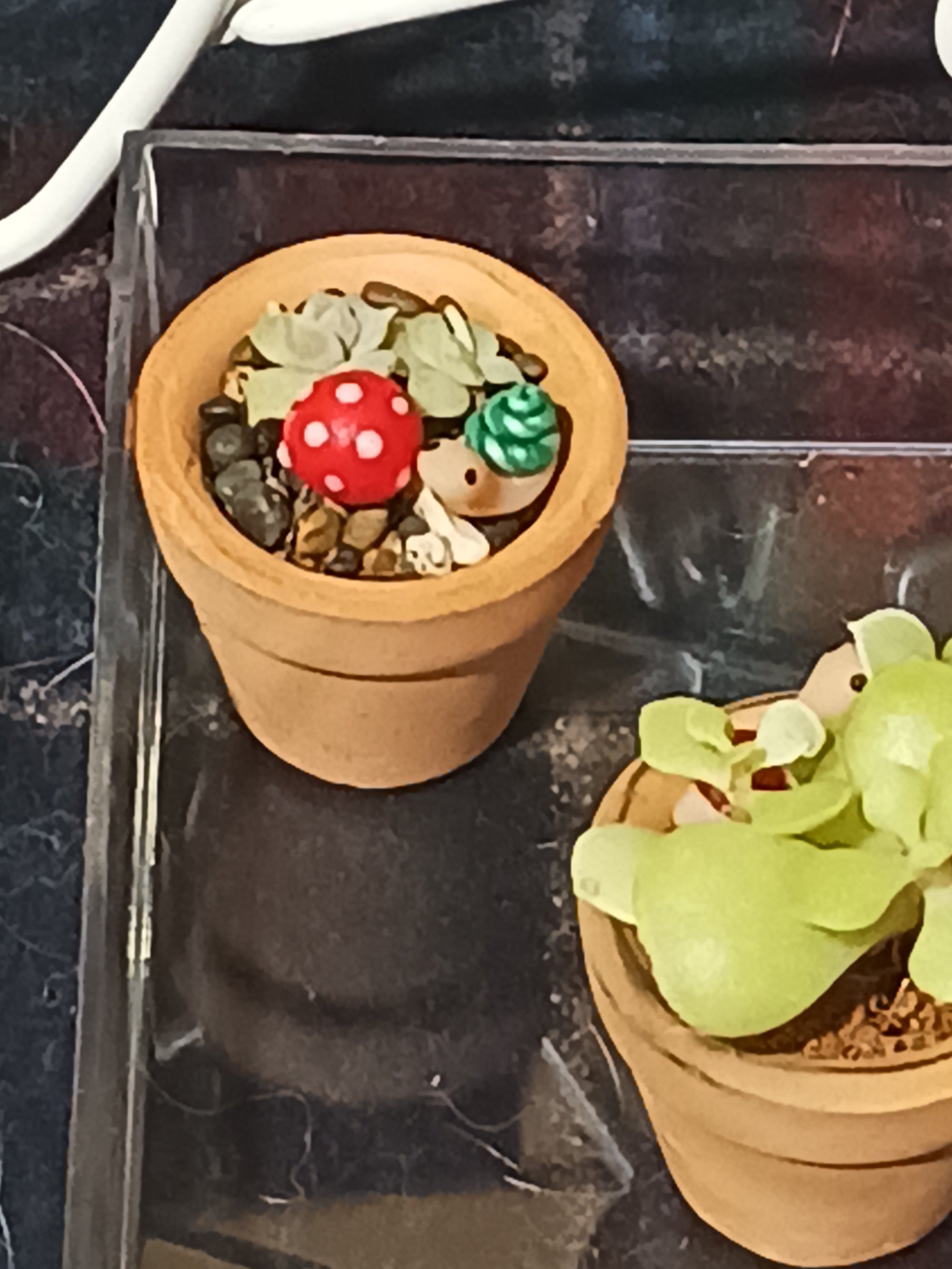 Tiny Pots with Plant Pals CC