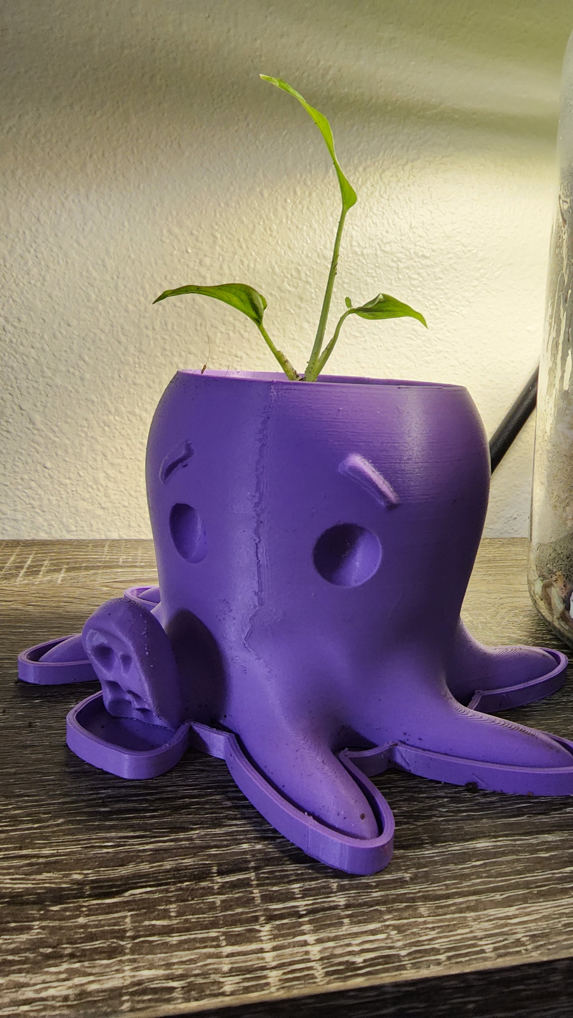 Octopus 3D Planter CC