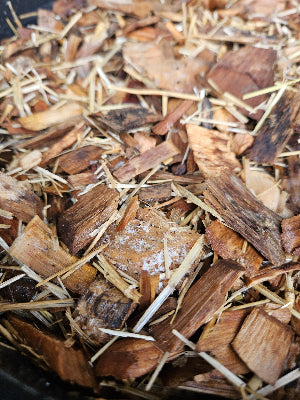 Wine Cap Mushroom (King Stropharia) Spawn - SGS