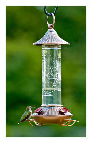 Glass Hummingbird Feeder 14oz