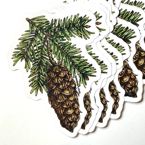 Douglas Fir Sticker - SymbiOp Garden Shop