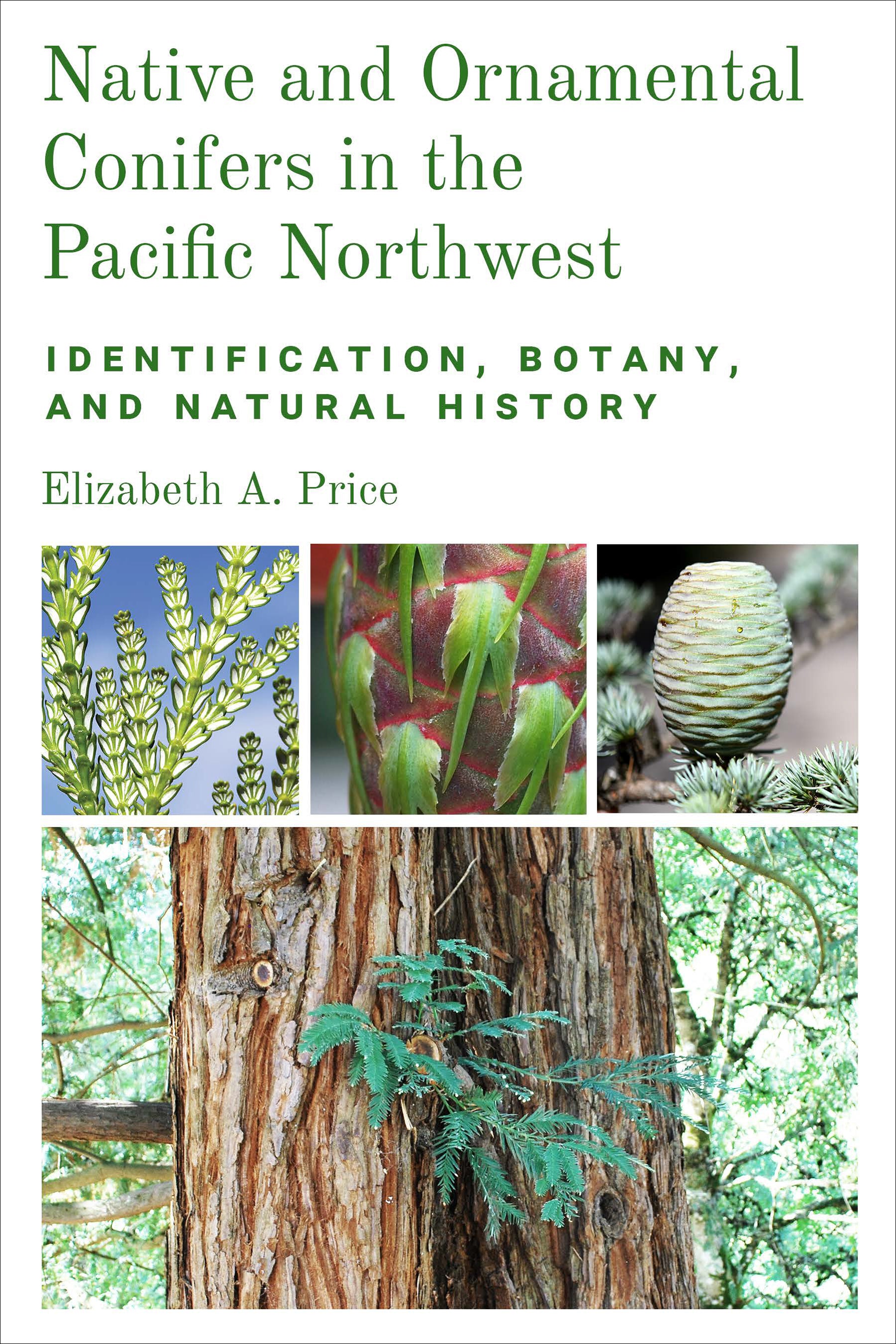 Native and Ornamental Conifers in the Pacific Northwest