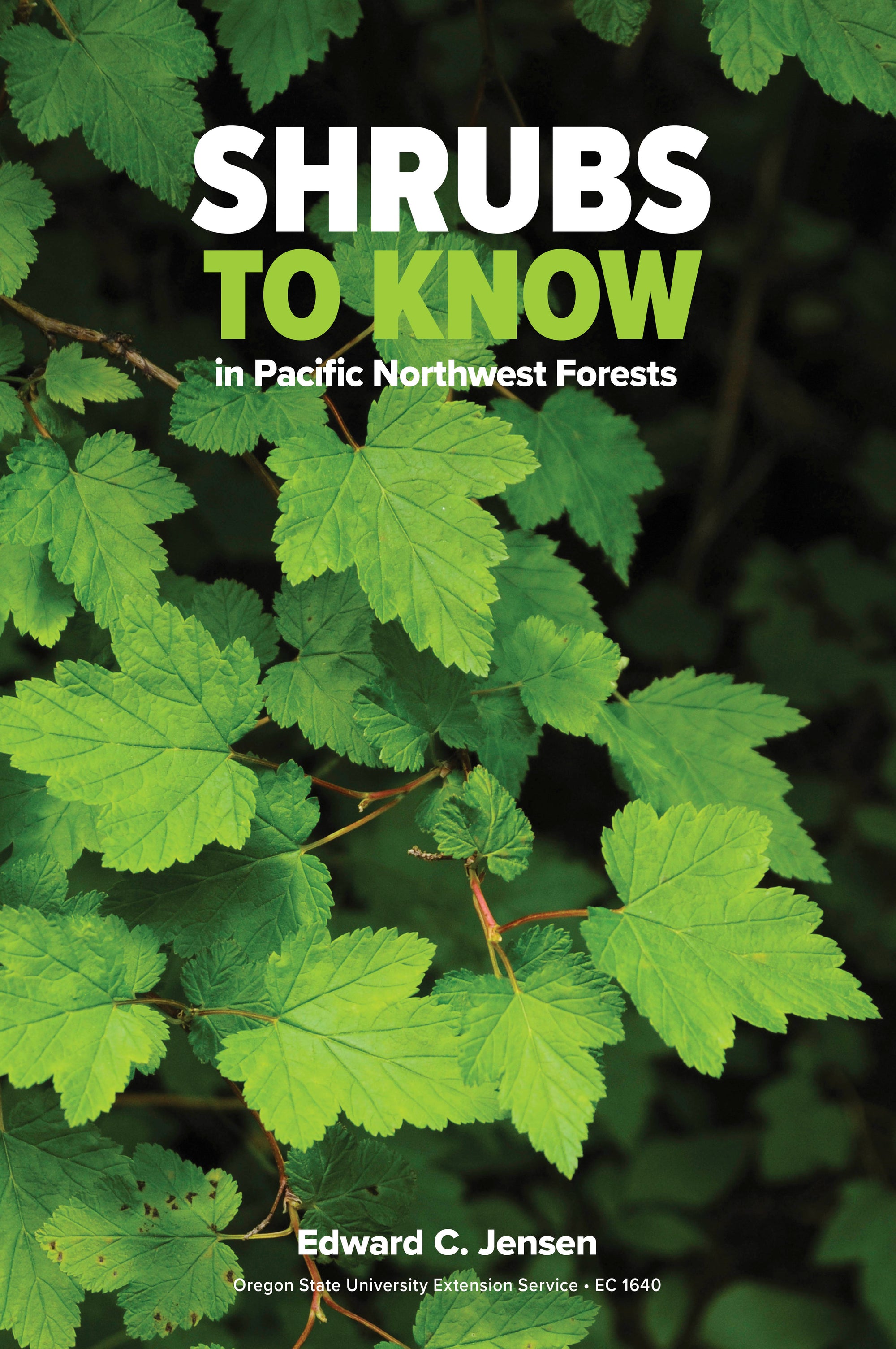Shrubs To Know In Pacific Northwest Forests