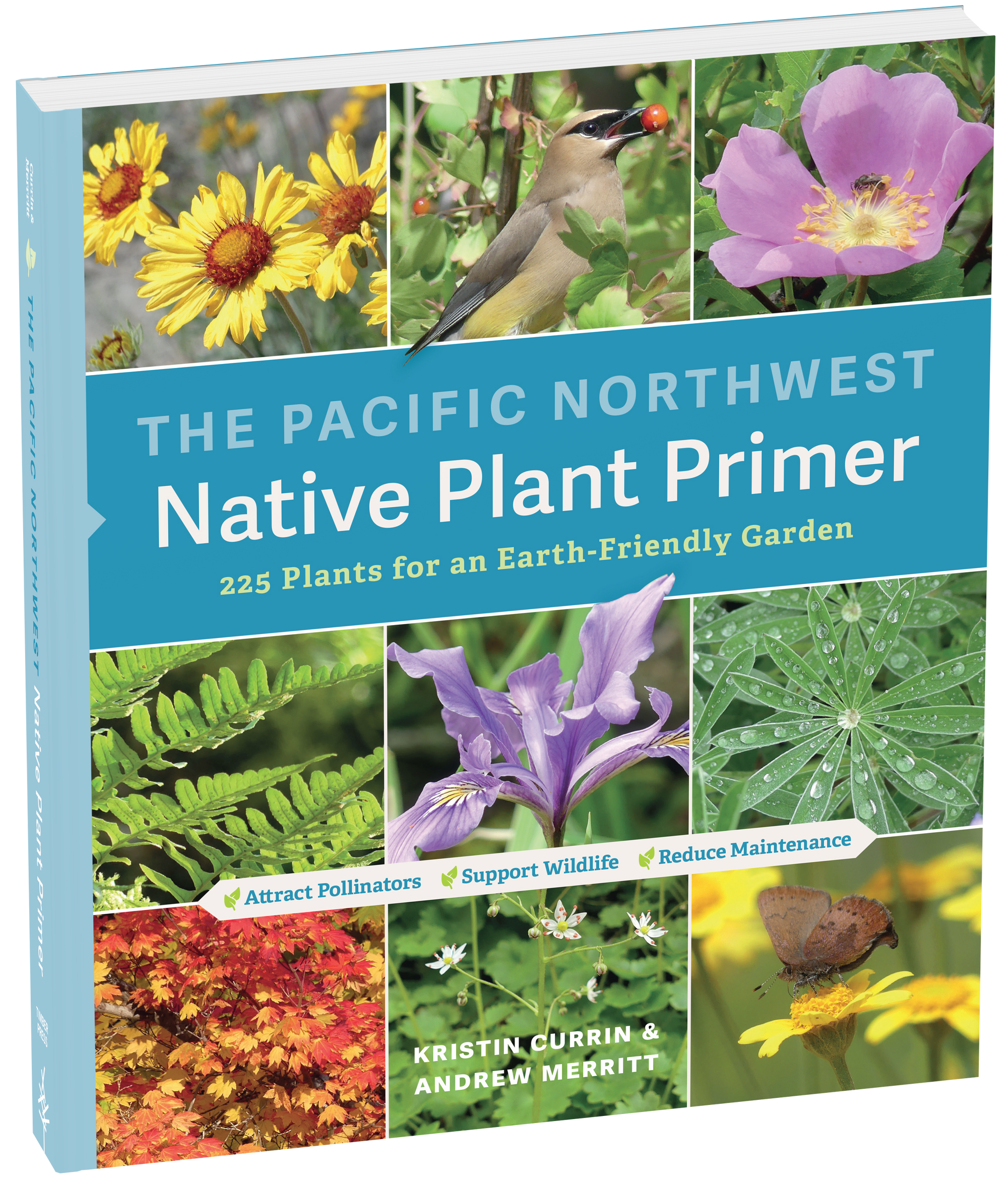 Pacific Northwest Native Plant Primer
