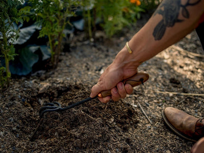 A person using the cultivator, their arm extended. The tool is being raked through the brown earth.