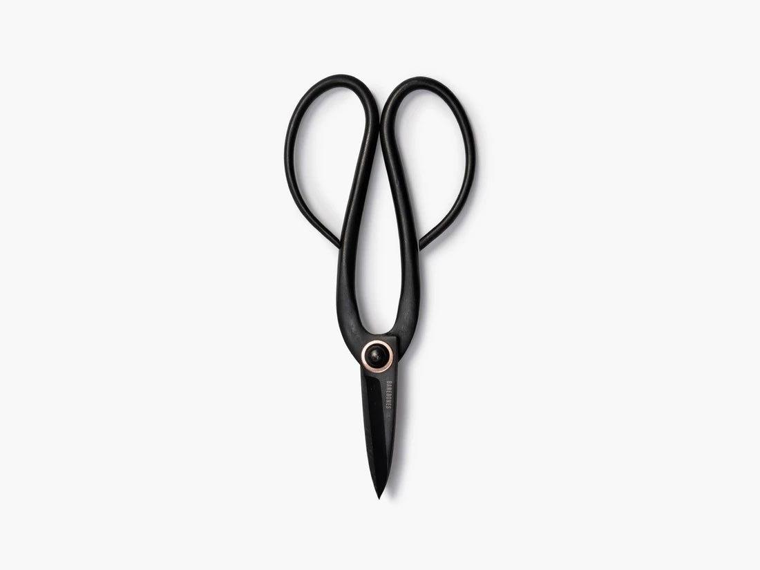 Black metal shears with looped and curved handles. The blades at the end are quite small.