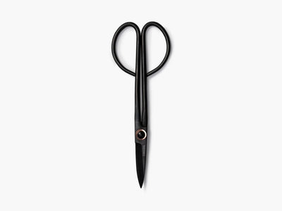 Thin black metal shears with small looped handles. The blades at the end are quite small.