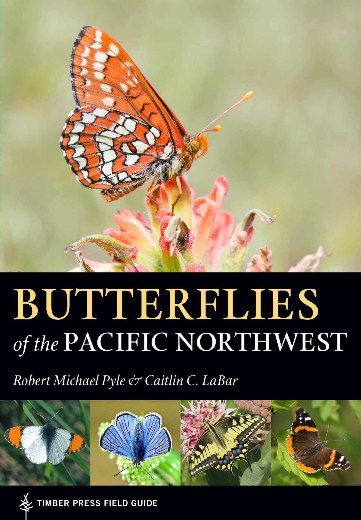 Several colorful photos of butterflies make up the cover of this book