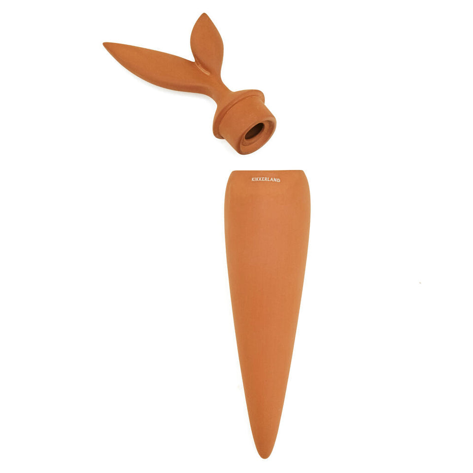 Carrot Terracotta Watering Stake