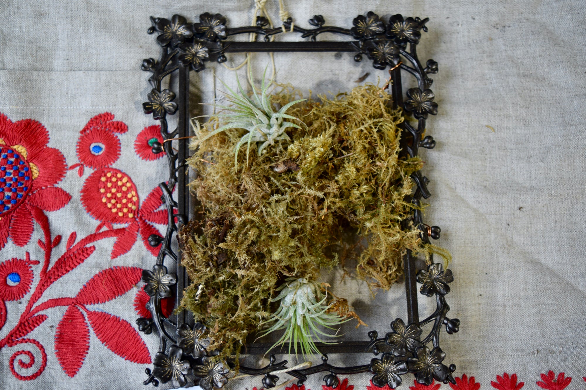 A black metal floral frame with moss and air plants in the center. 