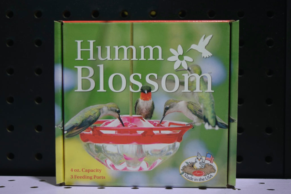 A box showing 3 hummingbirds feeding from a red and clear feeder. A 4th hummingbird is looking to land.