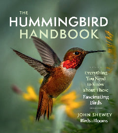 A hummingbird with bright red feathers near his head. It is in mid-flight.