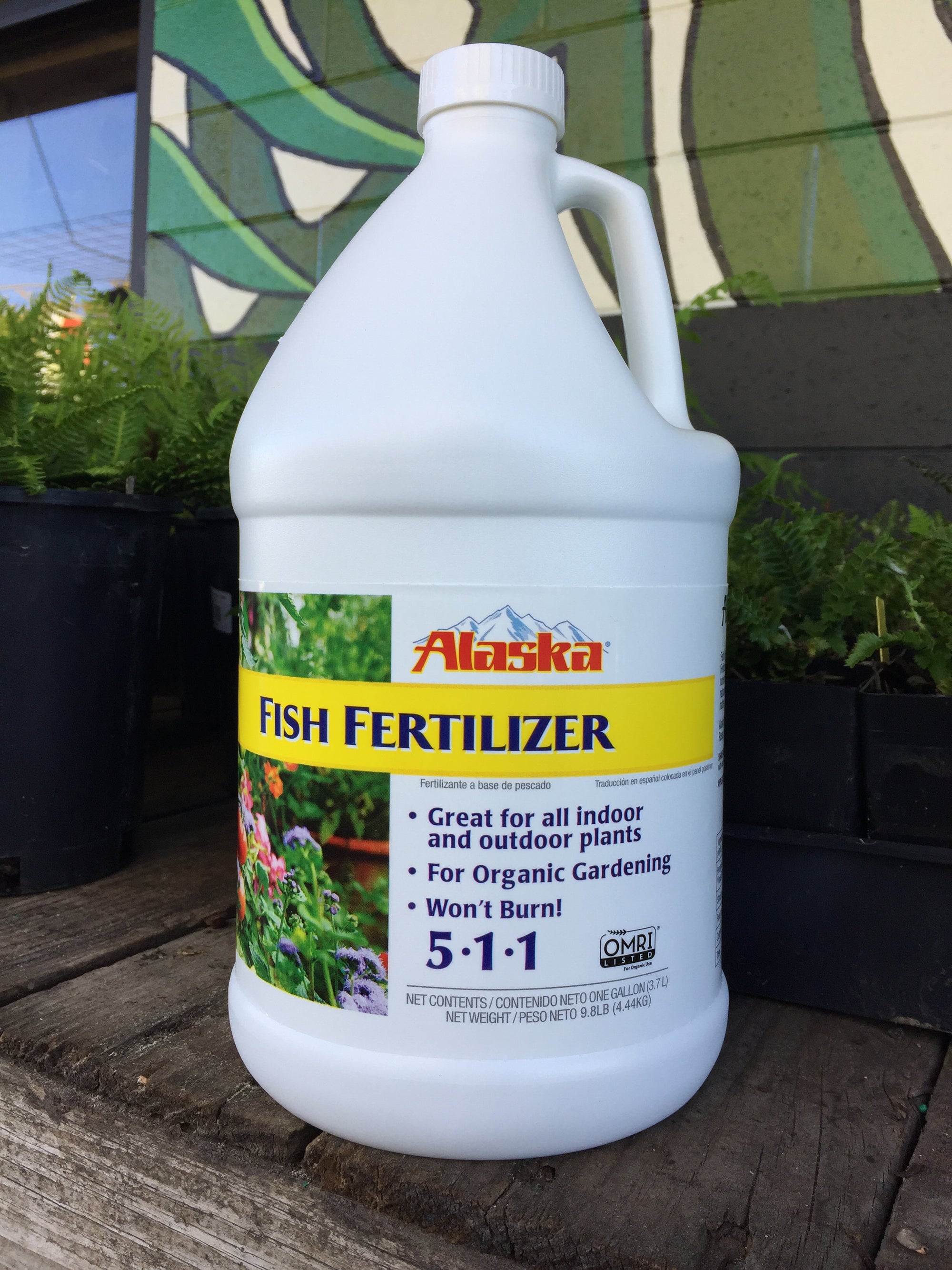 A large container of Fish Fertilizer on a white container. Printed on the lable is, "Great for all indoor and outdoor plants, for organic gardening, won't burn, 5-1-1" The container of fertilizer sits on a wooden display. 