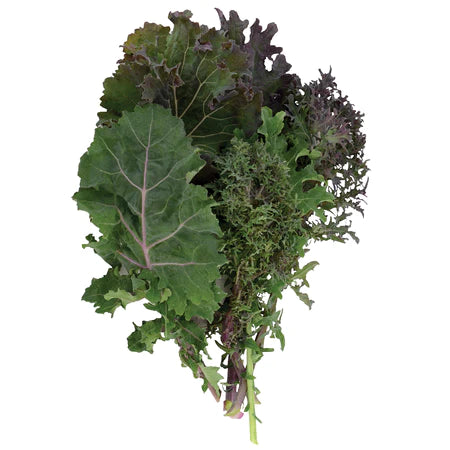 Brassica oleracea 'Wild Garden Kales' (Kale) - Seed TS