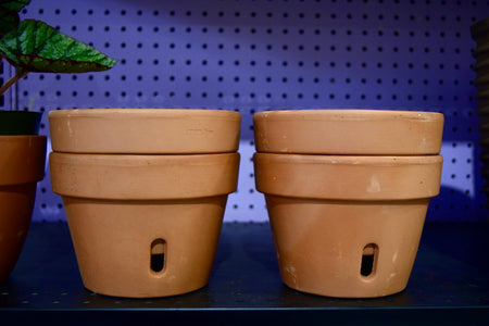 2 stacks of terracotta orchid pots with 2 pots in each.