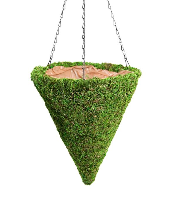 hanging moss basket planter Super Moss 29281 13 in. Small Cone Basket