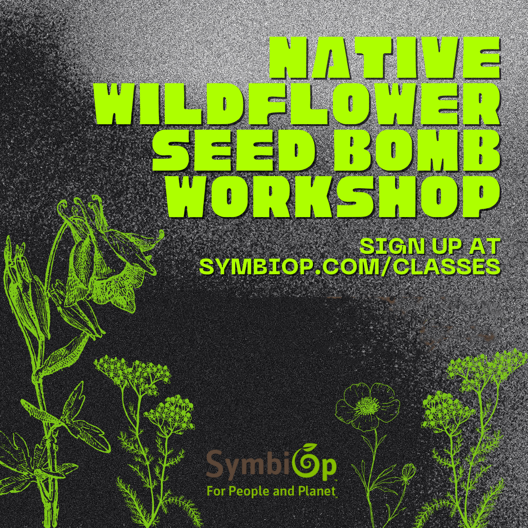 Native Wildflower Seed Bomb Workshop