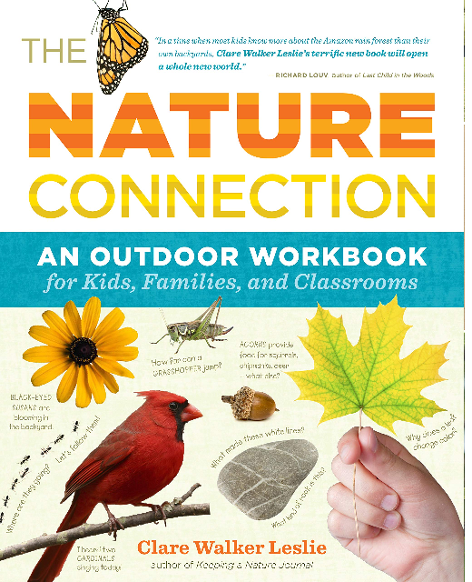 The Nature Connection: An Outdoor Workbook for Kids, Families, and Classrooms