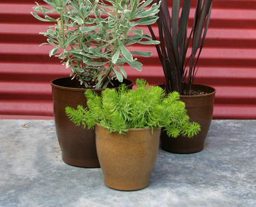 3 small plants in ecoforms planters of various colors.