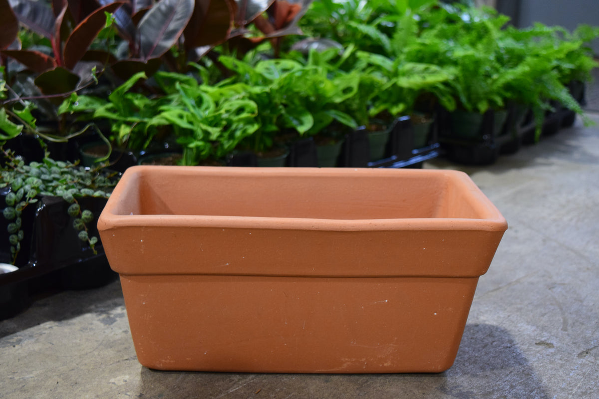 A terra cotta rectangular planter.